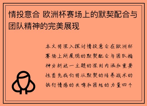 情投意合 欧洲杯赛场上的默契配合与团队精神的完美展现