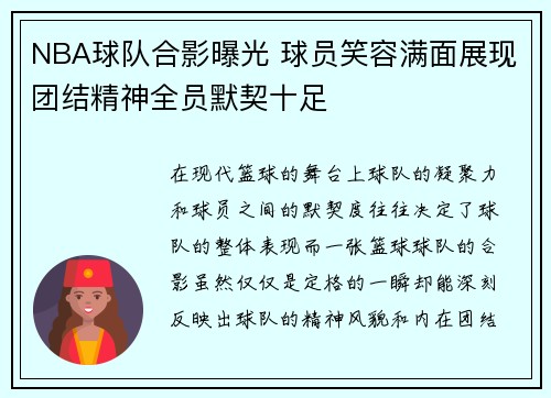 NBA球队合影曝光 球员笑容满面展现团结精神全员默契十足