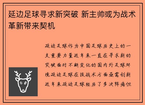 延边足球寻求新突破 新主帅或为战术革新带来契机
