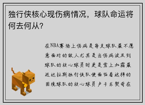 独行侠核心现伤病情况，球队命运将何去何从？