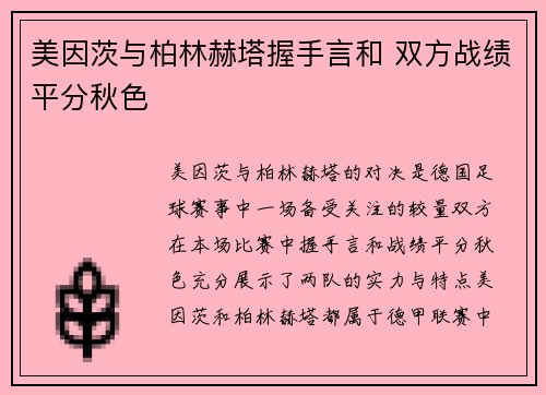 美因茨与柏林赫塔握手言和 双方战绩平分秋色